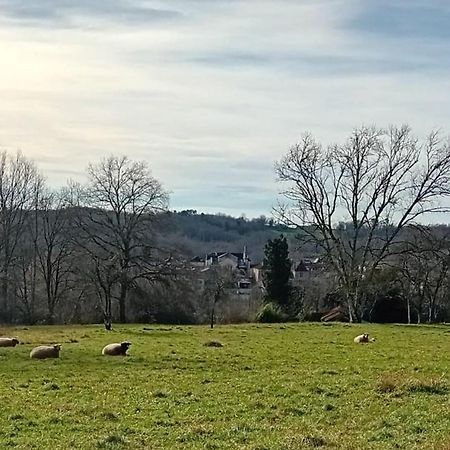 Le Petit Figuier Villa Villefranche-du-Périgord Екстериор снимка