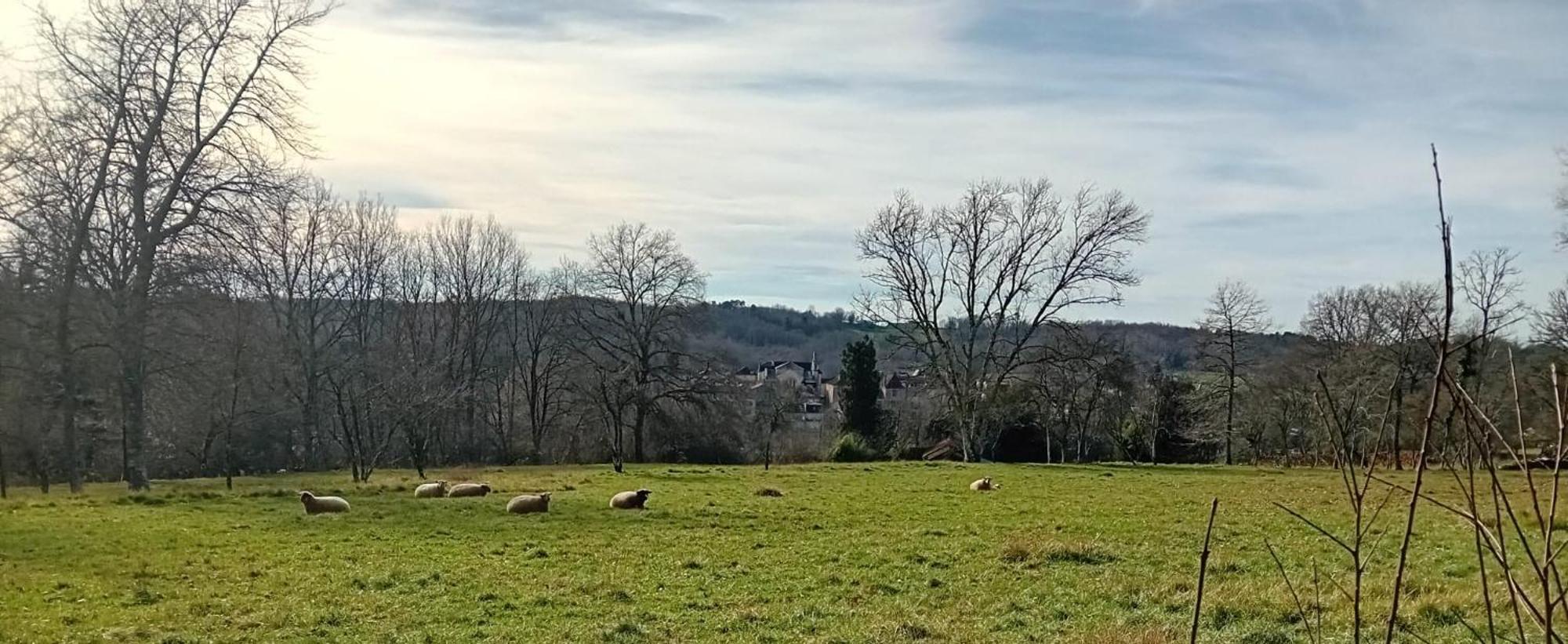 Le Petit Figuier Villa Villefranche-du-Périgord Екстериор снимка